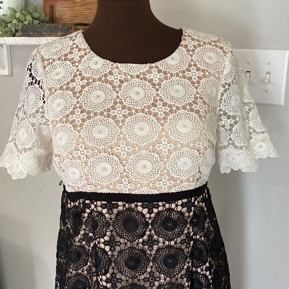 A Pea in the Pod lace maternity dress womens size small black and white lace - Picture 2 of 11